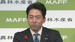 72953 B