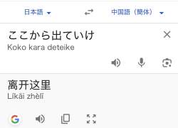 77981 B
