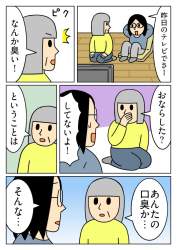 255243 B