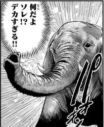 62643 B