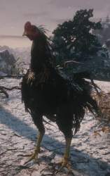 229735 B