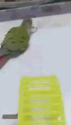 253786 B