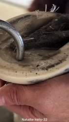 4669269 B