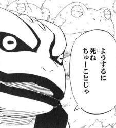 25571 B