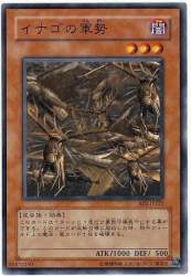 52884 B