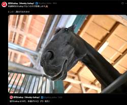 938473 B