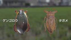 301306 B