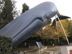 732269 B