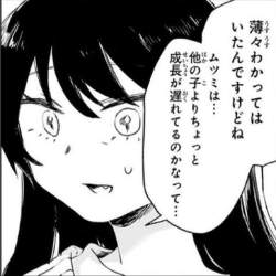 36313 B