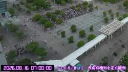 7848531 B