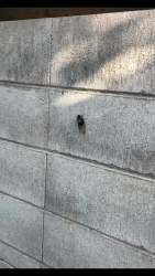 4371063 B