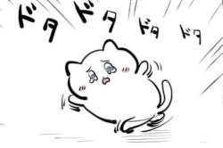 48772 B