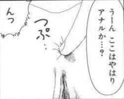 12455 B