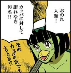 44843 B