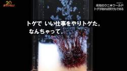 260339 B