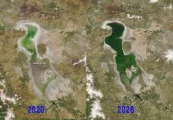 594204 B