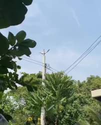 1728905 B