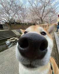 1234546 B