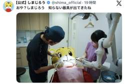 155551 B