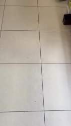 2024626 B
