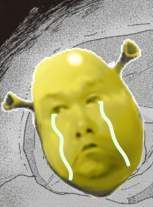 20270 B
