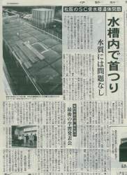 346772 B