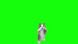 1152794 B