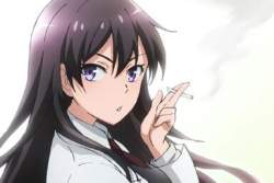 14033 B