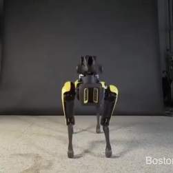 1125778 B