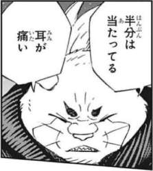 56724 B