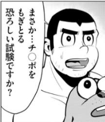 43297 B