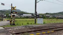 2516991 B