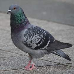 236350 B
