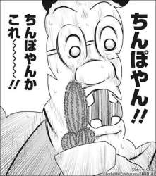 46466 B