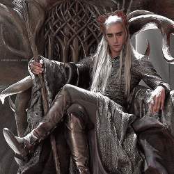 82832 B