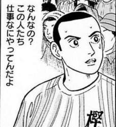 50441 B