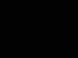 4628029 B