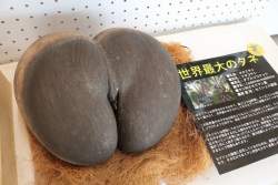 83996 B