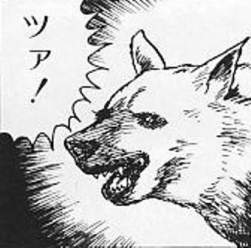 27099 B