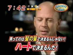 29445 B