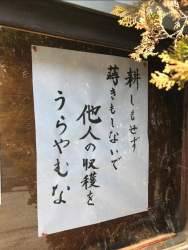 2374417 B