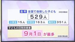 31048 B