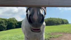 1380872 B