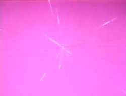 7956021 B