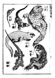 147036 B