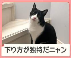 72498 B