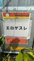 349532 B