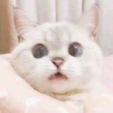 3893 B