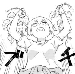 84427 B
