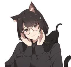 23316 B